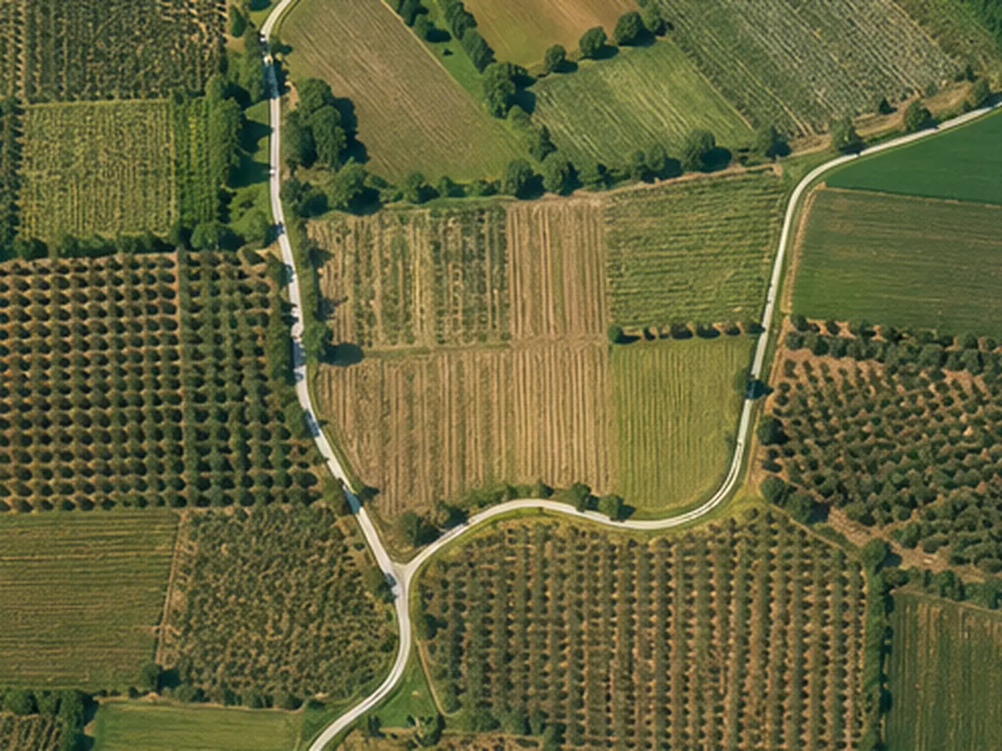Ortofoto e mappa tecnica di area rilevata con drone